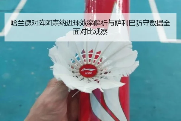 哈兰德对阵阿森纳进球效率解析与萨利巴防守数据全面对比观察